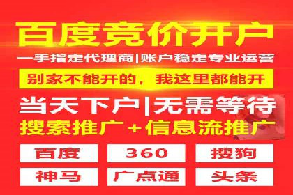 某行业sem竞价开户的经典案例剖析
