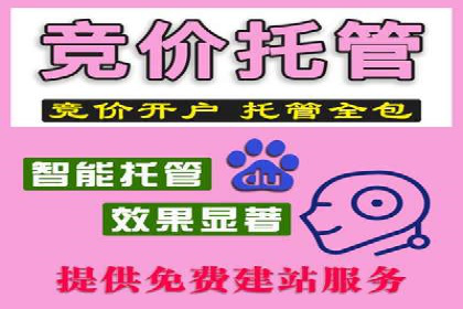 竞价推广实战经验：案例分析与实践